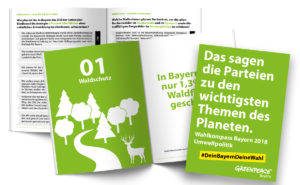 Wahlkompass zur Bayrischen Landtagswahl für Greenpeace